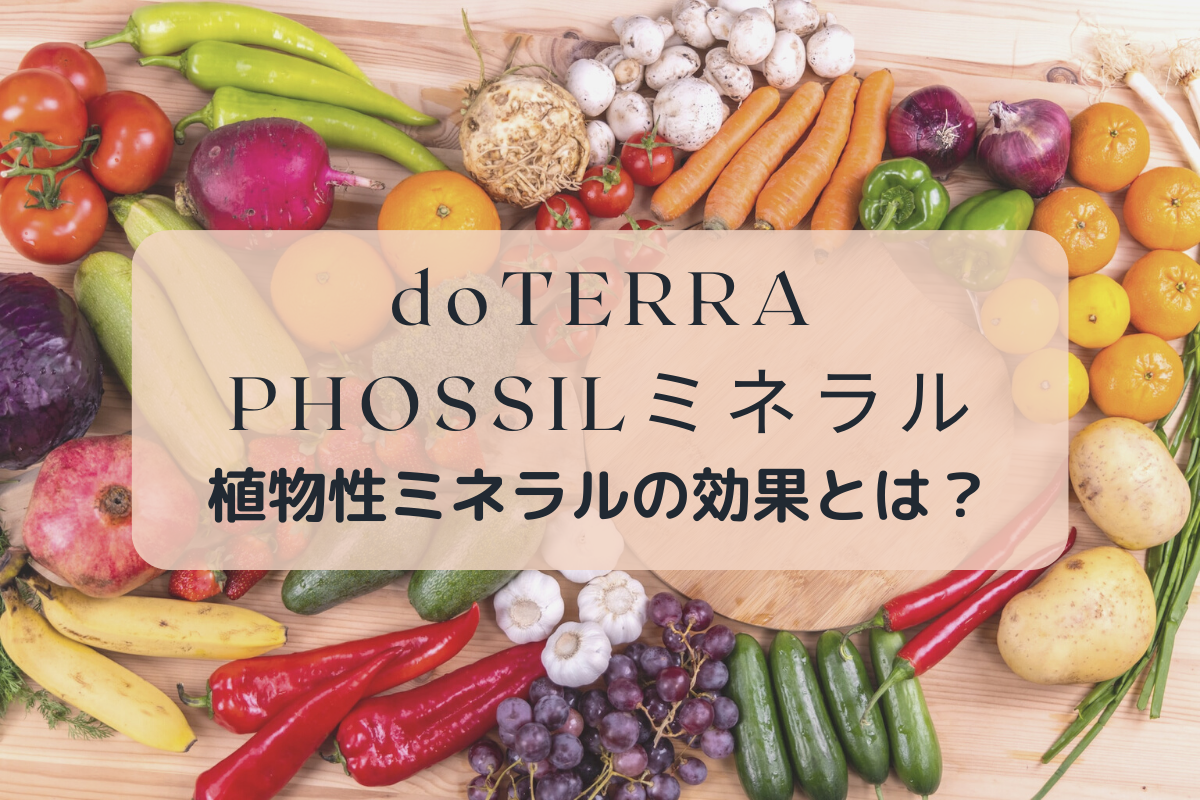 doTERRAのPHOSSILミネラル