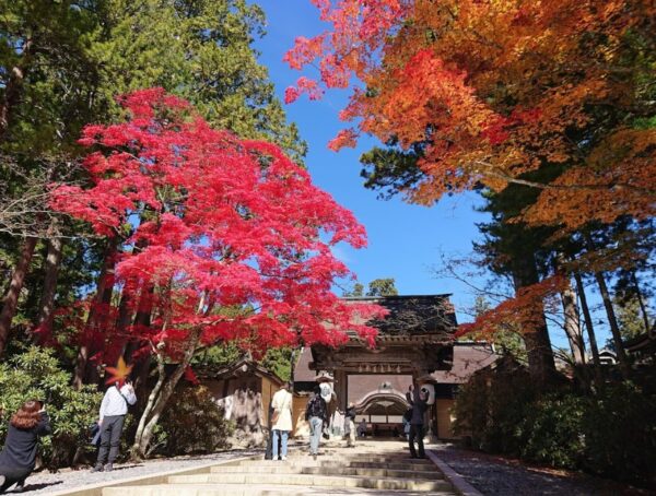 高野山-紅葉