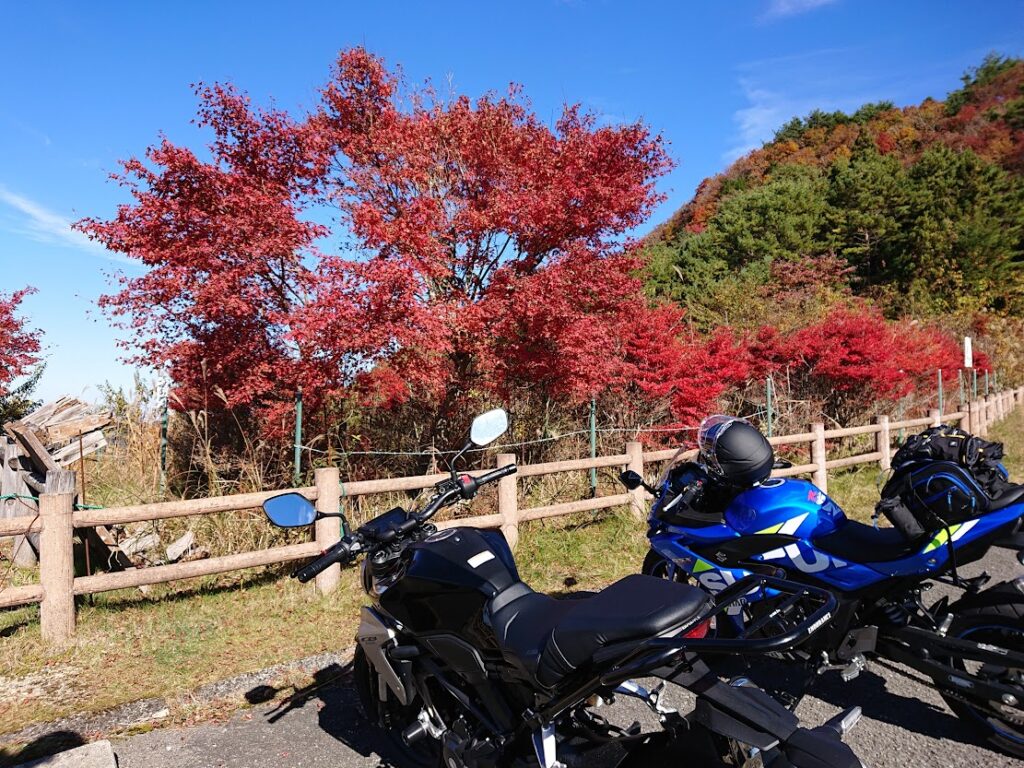 紅葉-バイクと共に