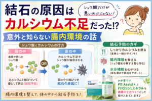 シュウ酸と結石の関係